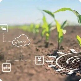 Weather & Smart Watering