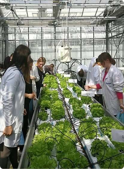 Greenhouse farming